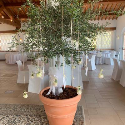 Silvana Giacomo 15 8 2021 8