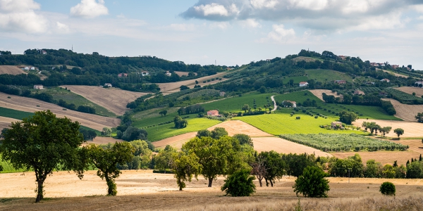 Cosa vedere nelle Marche