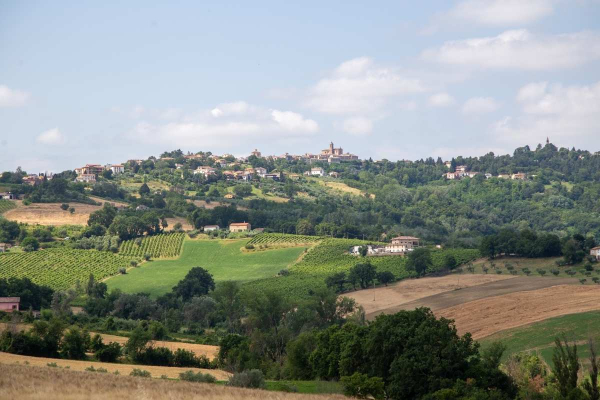 Borghi da visitare nelle marche, tra storia, vino e colline