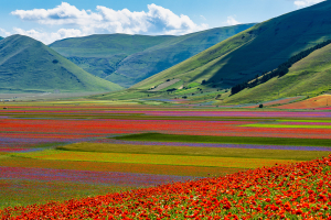Castelluccio di Norcia