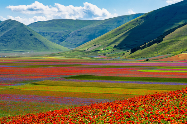 Castelluccio di Norcia